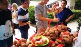 四川大学吃瓜视频最新更新,揭秘校园热点事件最新进展