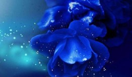 瓜哥吃瓜蓝色妖姬视频,蓝色妖姬视频背后的惊人真相