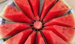 好玩的吃瓜视频大赛,好玩的吃瓜视频大赛精彩回顾