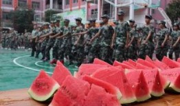 校园吃瓜每日大赛视频,一场视觉盛宴与趣味横生的校园生活缩影