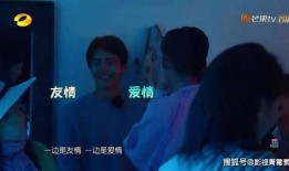 现场吃瓜前男友视频大全,揭秘前男友视频大全背后的故事