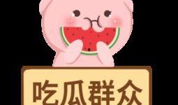 吃瓜群众的视频大全下载,趣味横生的网络现象解析