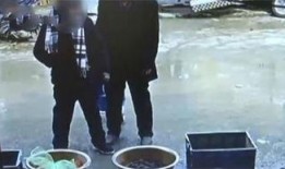 老太太吃瓜篓子视频,老太太的悠闲生活剪影