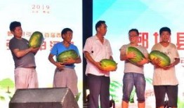 人民广场吃瓜事件视频,一场引发热议的街头现象