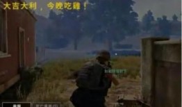 关于吃鸡瓜的视频