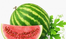 小瓜怎么吃营养好些视频,视频教你科学吃法