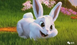 兔子可以吃熟蓝瓜吗视频