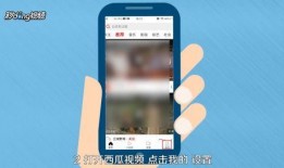 看西瓜吃瓜视频怎么看直播,西瓜视频看瓜达人教你轻松解锁直播新姿势