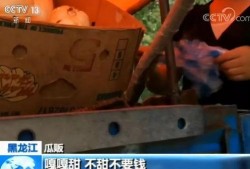 嘎嘎吃瓜的视频大全,揭秘热门视频背后的娱乐盛宴