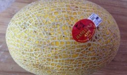 奶龙吃哈密瓜视频大全集,视频大全集欢乐回顾