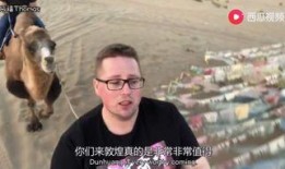 东关大叔吃瓜视频,揭秘娱乐圈幕后故事