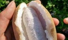 仁怀吃瓜事件真相视频,真相视频曝光背后的惊人内幕