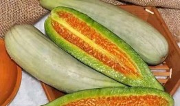 翠花表姐吃佛手瓜视频大全,视频大全回顾