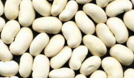 吃瓜卖白芸豆视频,健康食品背后的故事