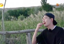 表白源源吃瓜视频,一场校园爱情的甜蜜瓜分