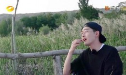 表白源源吃瓜视频,一场校园爱情的甜蜜瓜分