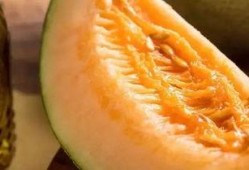 蜜瓜一次吃两斤正常吗视频,健康饮食新标准？