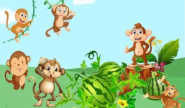 吃瓜人的吃瓜故事视频大全,揭秘视频大全中的趣味人生百态