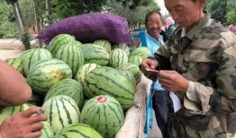 西北吃瓜事件视频大全,视频大全揭秘背后的真相与争议