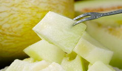 熊猫吃蜜瓜视频大全下载