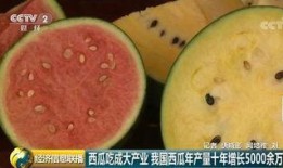 大中国吃瓜视频,揭秘各地美食背后的故事与风情