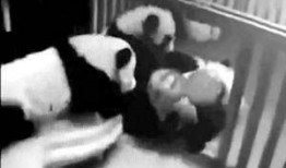 邻居打架吃瓜视频播放在线观看