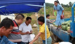 南乐乡村吃瓜群众视频曝光,揭秘乡村生活百态