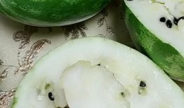 东北吃瓜叫法大全视频,吃瓜叫法大全揭秘