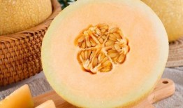 白富美吃瓜视频