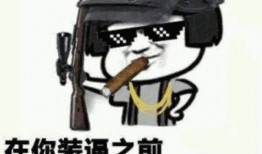 瓜仔吃鸡素材视频大全,趣味十足的游戏素材大盘点