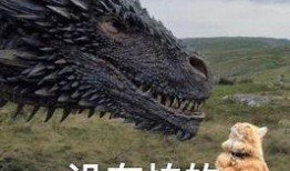 带你吃瓜动物拿起武器视频,瓜田里的武器奇遇记