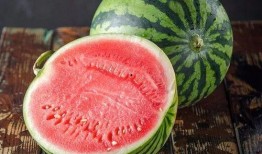 快速吃麒麟瓜视频,吃瓜速度哪家强？