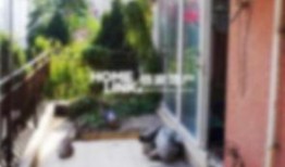 朝阳花园吃瓜事件视频,一场引发热议的邻里冲突视频揭秘