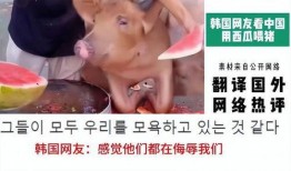 韩国人吃大瓜视频,揭秘韩国美食背后的故事