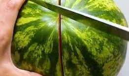 吃瓜的小妙招视频,掌握小妙招，视频揭秘瓜果美味新境界