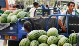 海宁二院吃瓜事件视频,视频揭露惊人内幕