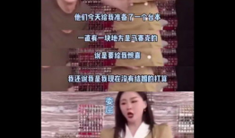 吃瓜爆料全集视频大全免费观看,揭秘娱乐圈幕后真相，免费观看大揭秘