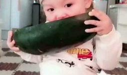 小孩子吃小瓜的视频播放,欢乐瞬间引网友围观