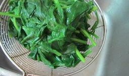 麻瓜能做什么菜吃呢视频,解锁家常菜谱新技能