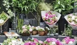 玉田花店老板视频吃瓜,揭秘瓜界风云