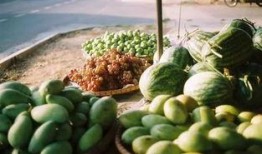 中国吃瓜群众表演视频