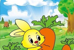 小兔吃瓜科普知识视频,揭秘瓜果营养与健康的科普之旅