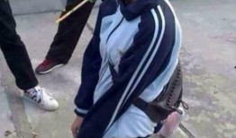 鹤壁霸凌事件吃瓜视频,网络视频揭露校园暴力真相