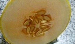 哈密瓜凉吃做法视频,哈密瓜凉吃做法大揭秘