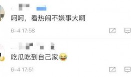 吃瓜视频警示,揭秘网络视频背后的风险与警示