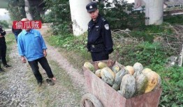 云阳老师吃瓜事件视频全集,视频全集揭秘惊人真相