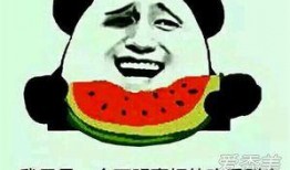 吃瓜是什么意思 视频,揭秘“吃瓜”背后的网络文化现象