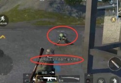瓜哥视频吃鸡战场,畅游虚拟世界