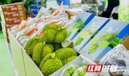 星期六吃瓜视频,揭秘热门吃瓜视频背后的故事