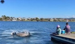 湖州浅水湾吃瓜事件视频,一场引发热议的网络视频风波